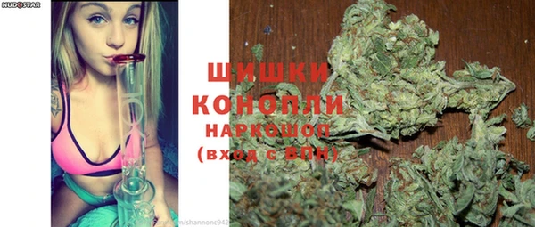 молекула духа Богородск