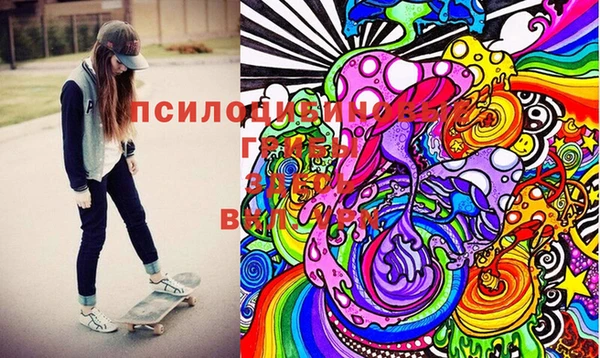 дурь Богданович